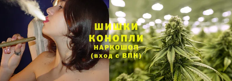 Бошки марихуана SATIVA & INDICA  купить закладку  Ардатов 